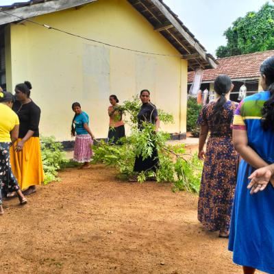 ඩෙංගු ශුමදාන වැඩසටහන 